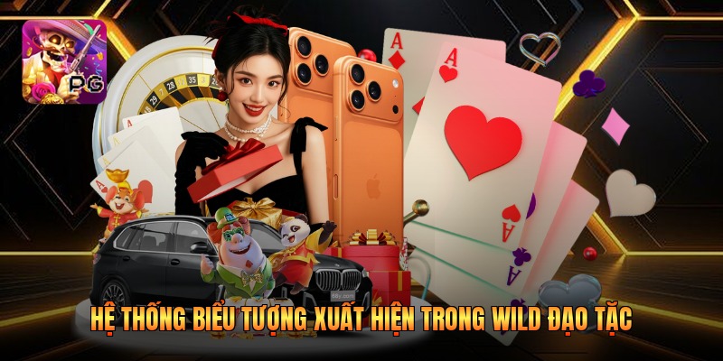 Hệ thống biểu tượng xuất hiện trong Wild Đạo Tặc